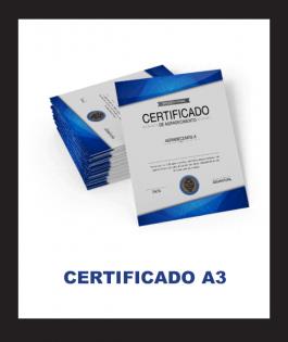 CERTIFICADO A3 Couchê 250gr 30cm x 42cm 4/0   9,14, 29 ou 99 unds